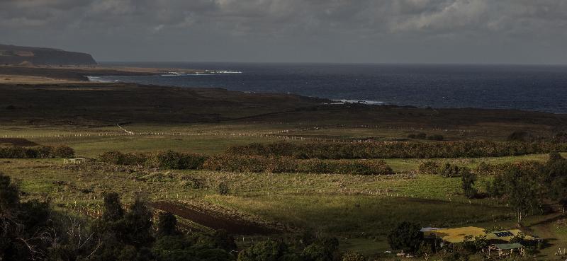 Casa Rapanui Otel Hanga Roa Dış mekan fotoğraf